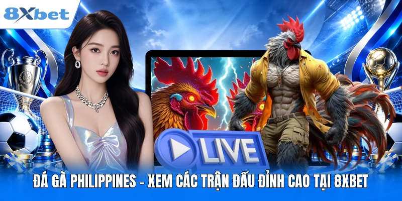 Đá Gà Philippines - Xem Các Trận Đấu Đỉnh Cao Tại 8XBET
