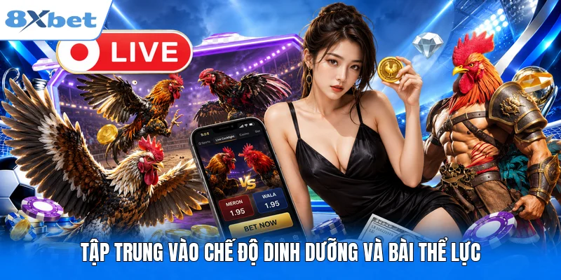 Tập trung vào chế độ dinh dưỡng và bài thể lực